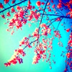 Avatar of brightberries