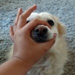 ryuuthefrog's Avatar