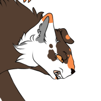 Thumbnail for NPC-017