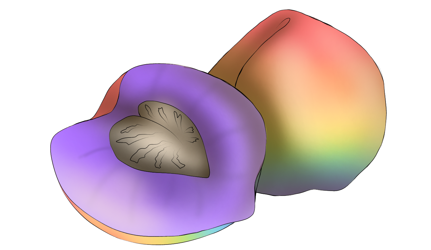 Plump peach (Cultivated)